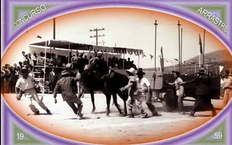 Concurso de Arrastre 1959