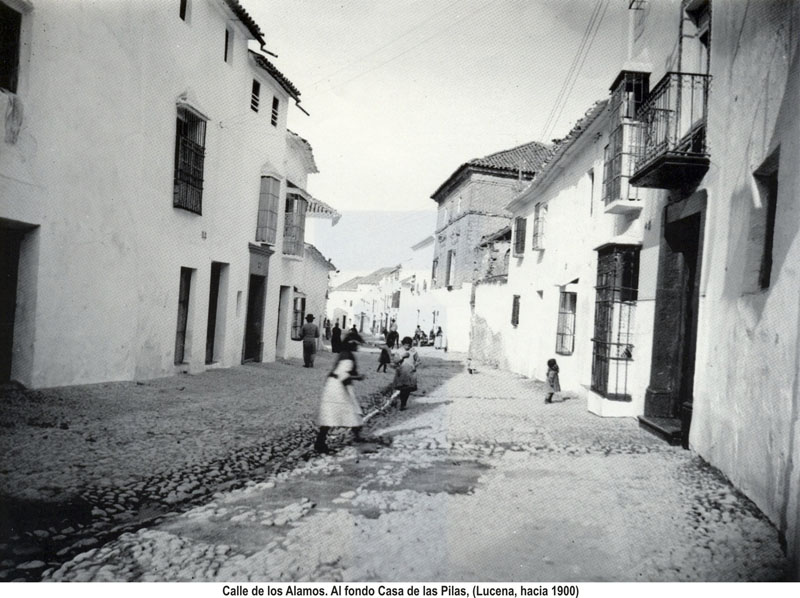 Calle de los Álamos 1900