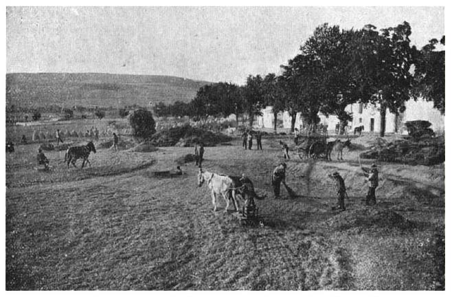 Trabajos en la era. El Ejido del Valle 1900