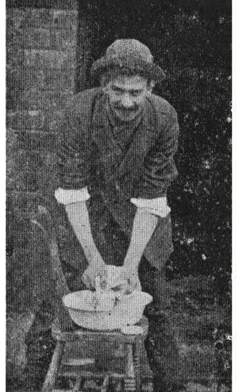 El soltero Federico. 1917