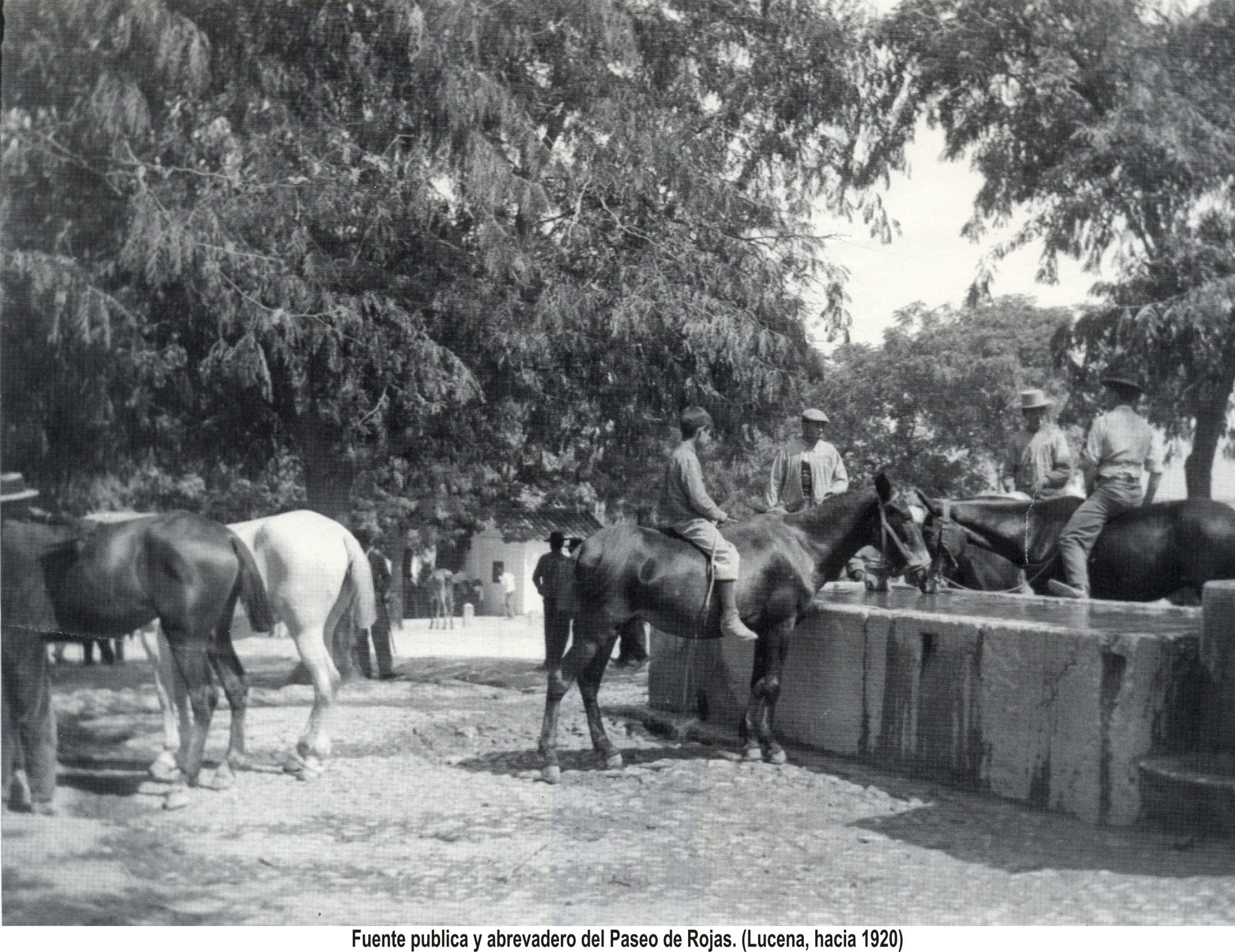 Fuente Paseo de Rojas. 1920