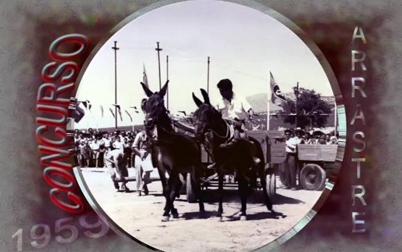 Concurso de Arrastre 1959