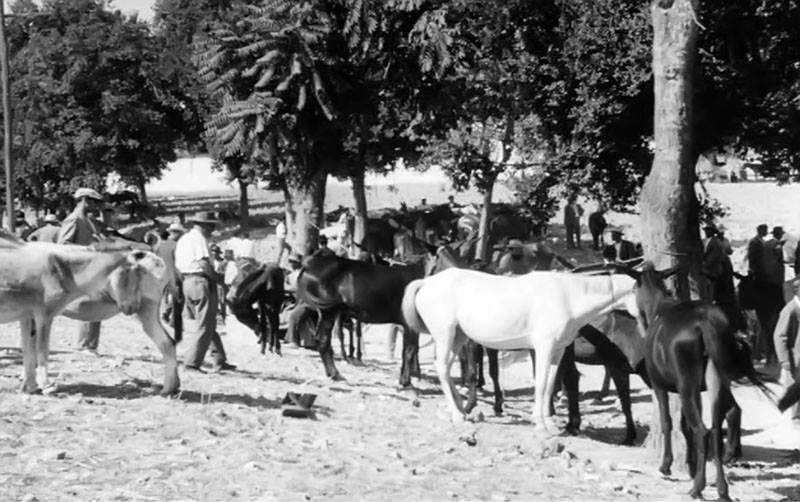 II Feria del campo andaluz 1960